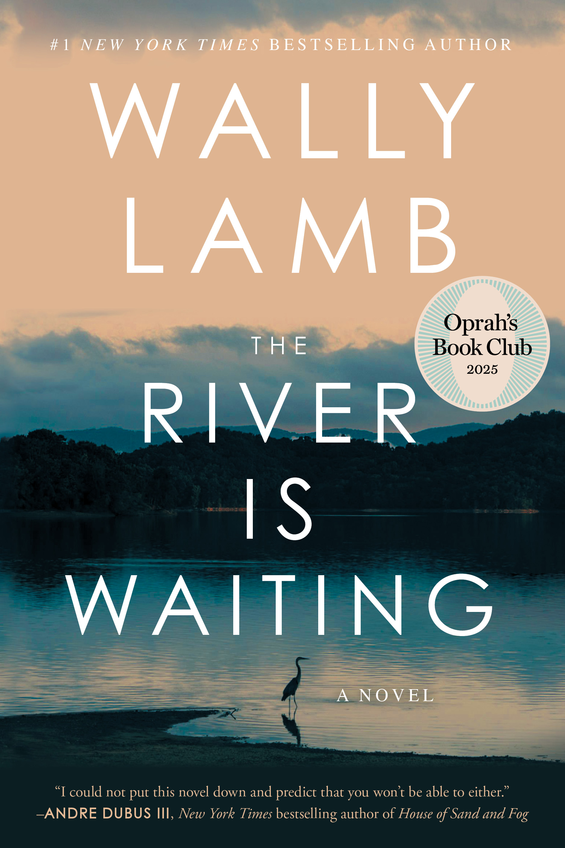 A picture of the cover of The River Is Waiting, by Wally Lamb